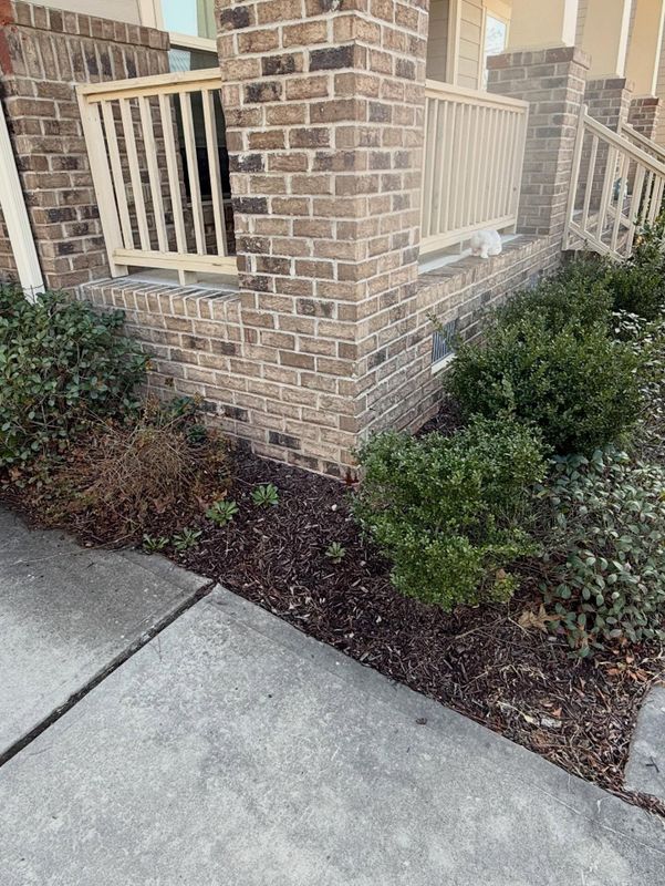 Garden Bed Edging