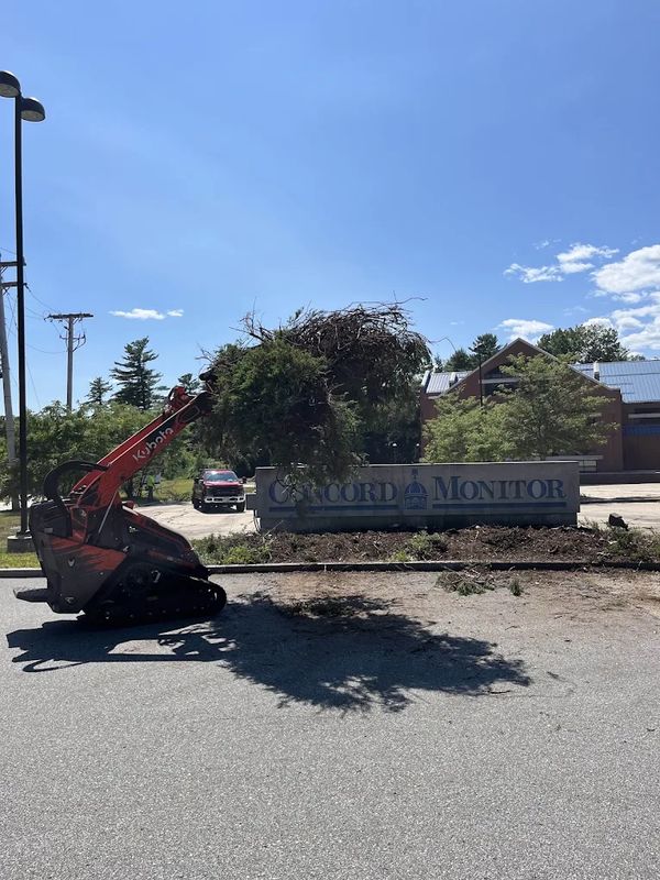 Landscaping