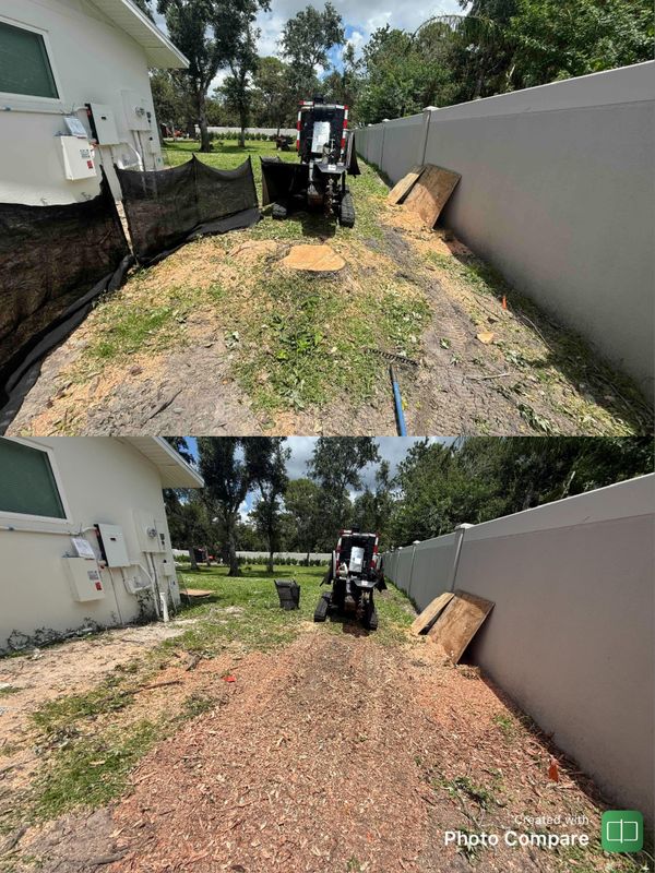Stump Removal