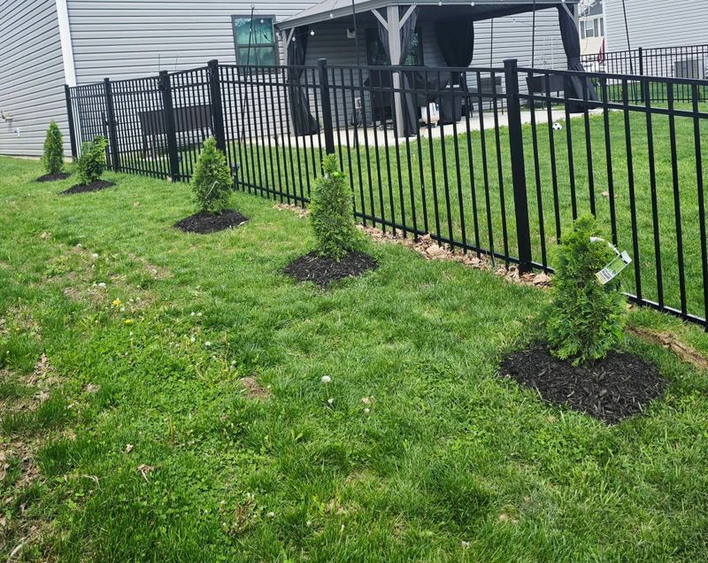 Garden Designs