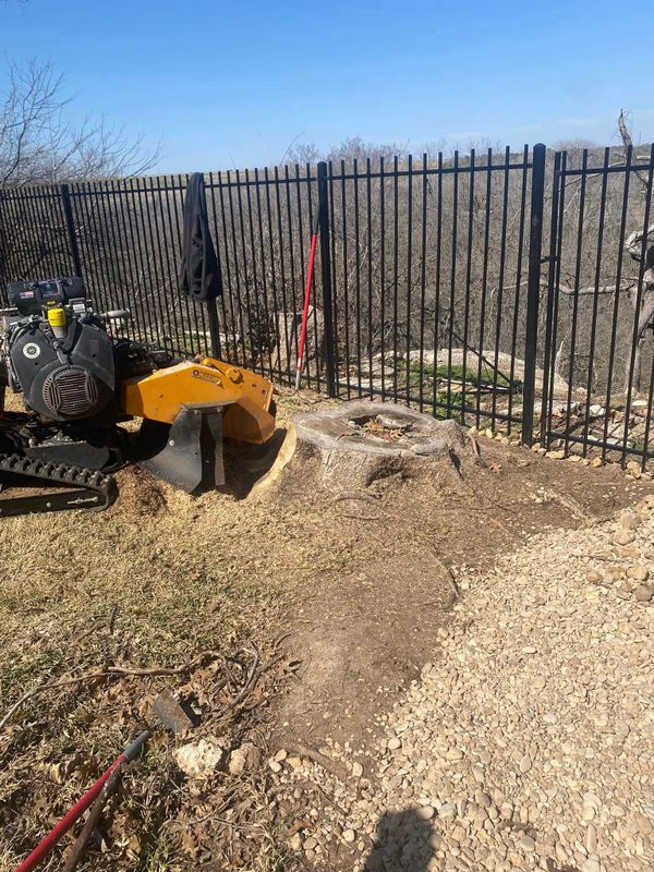 Stump Grinding gallery