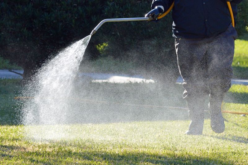 Fertilization & Pest