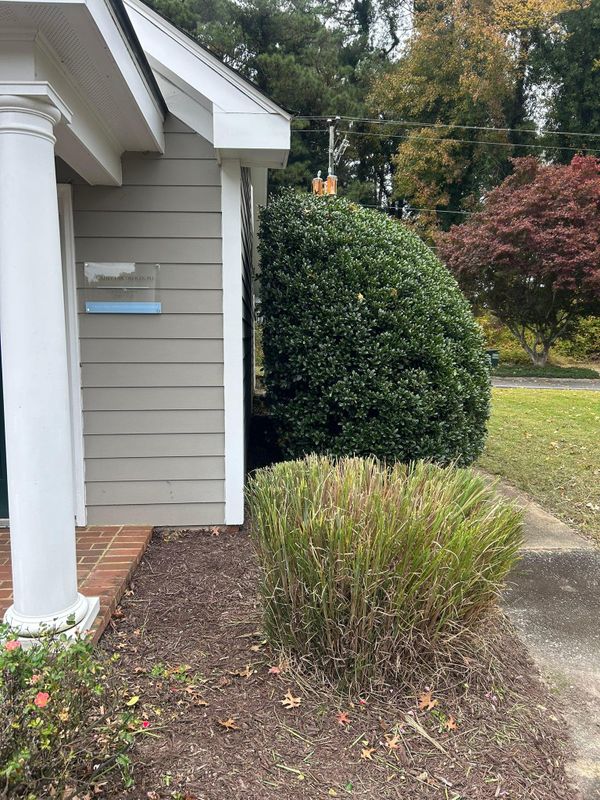 Mulch Installation