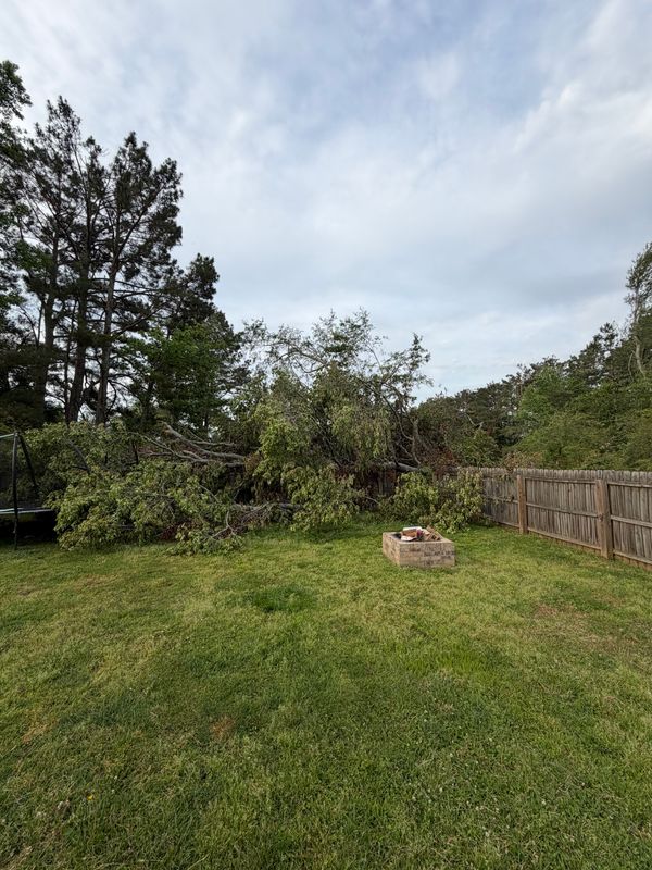 Hazardous Tree Removal