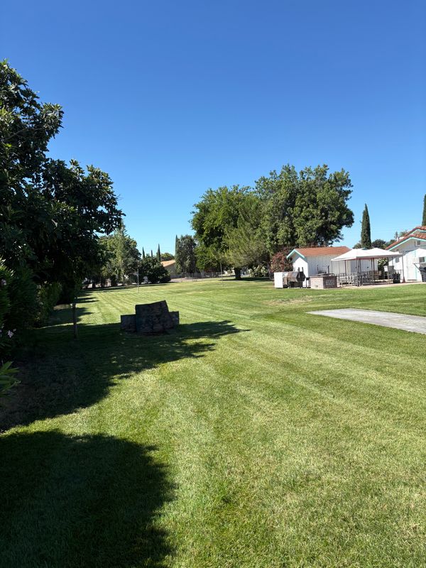 Tree & Shrub Care