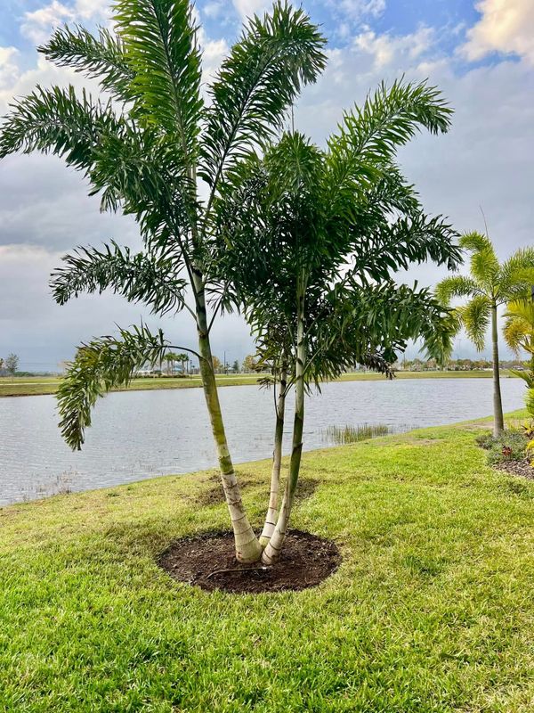 Hardscaping Landscaping
