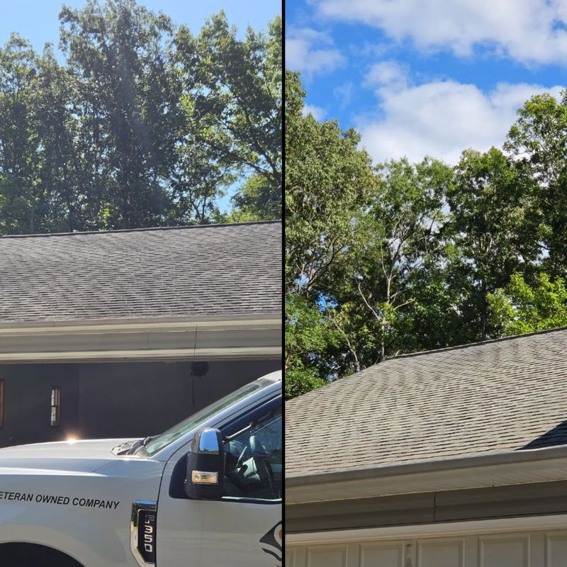 Roof Cleaning