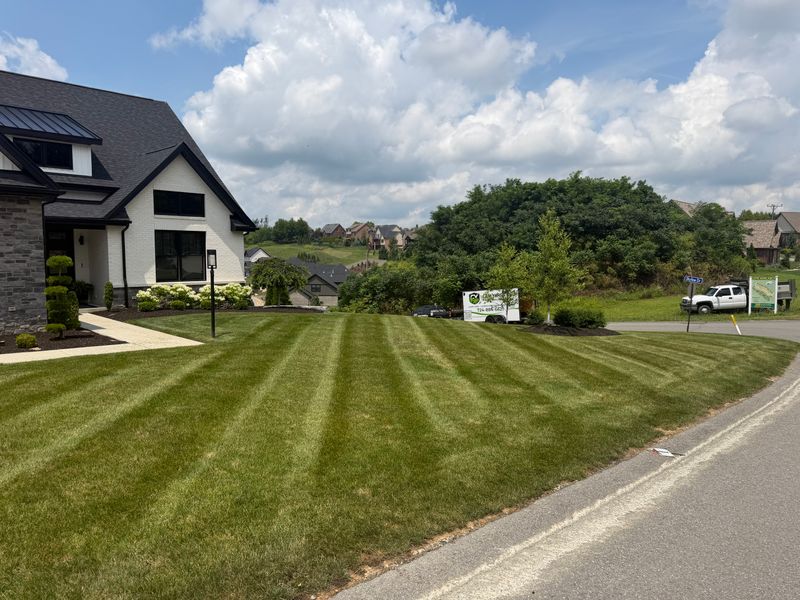 Large Property Maintenance