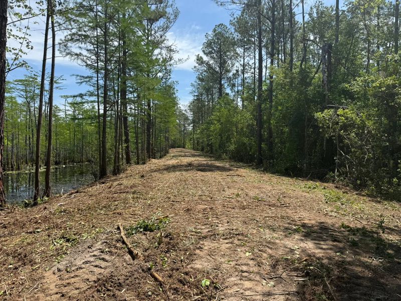Land Clearing