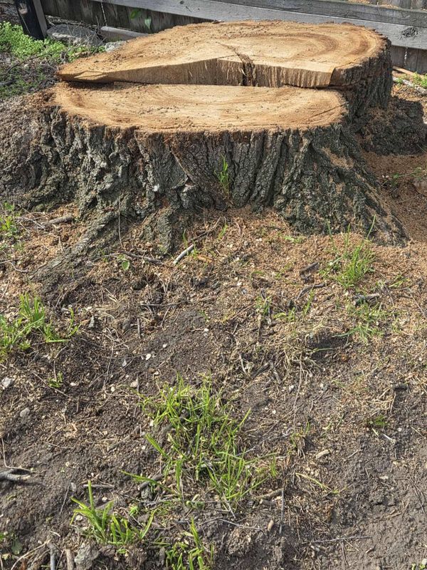Stump Grinding