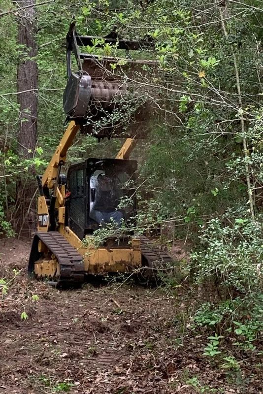 Brush Clearing