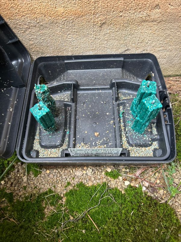 Rodent Control