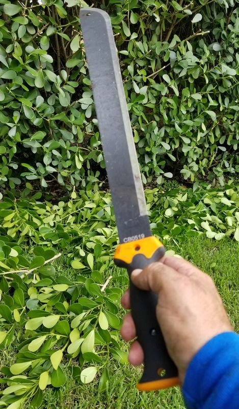 Shrub Trimming