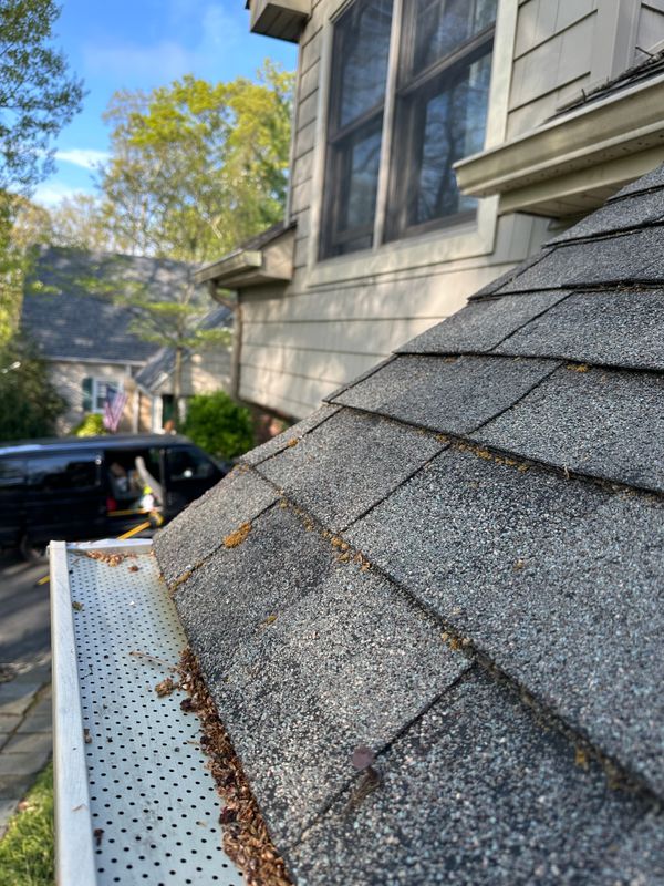 Gutter Cleaning