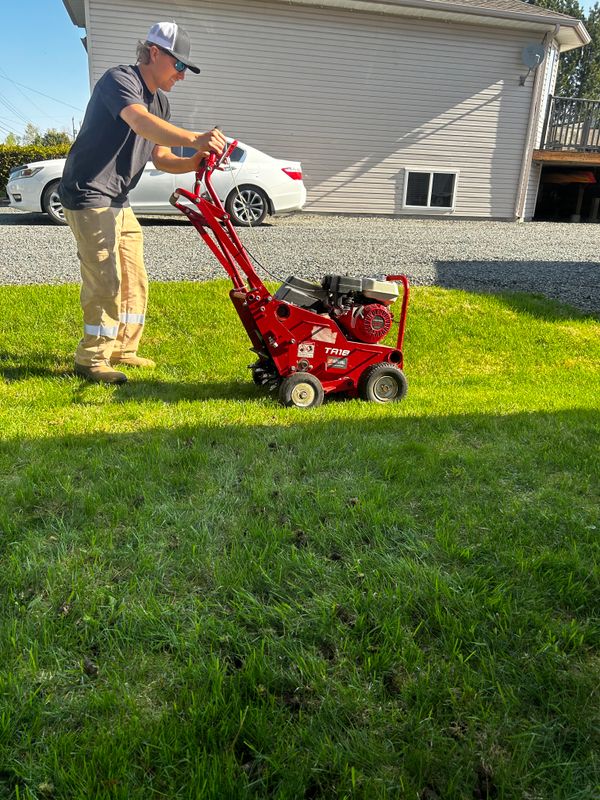 Lawn Aeration