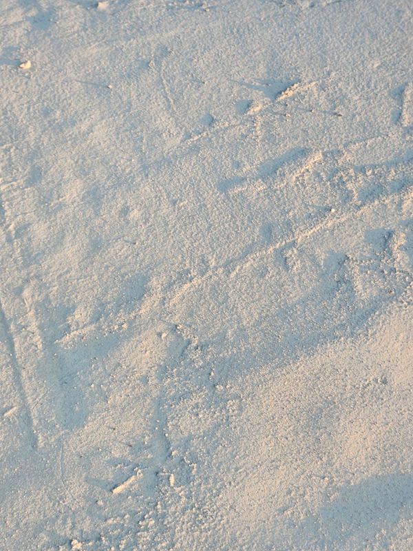 Transformative Concrete Coating Solutions