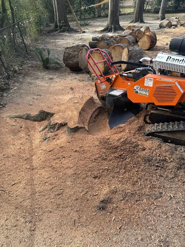 Stump Grinding gallery