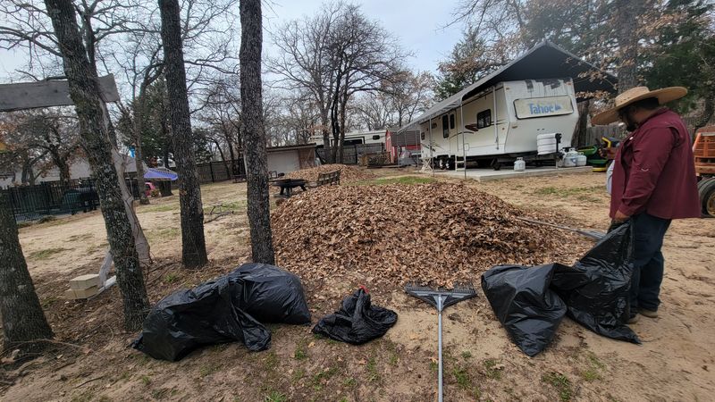 Lawn Maintenance