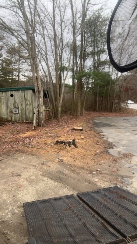 Tree Removal gallery