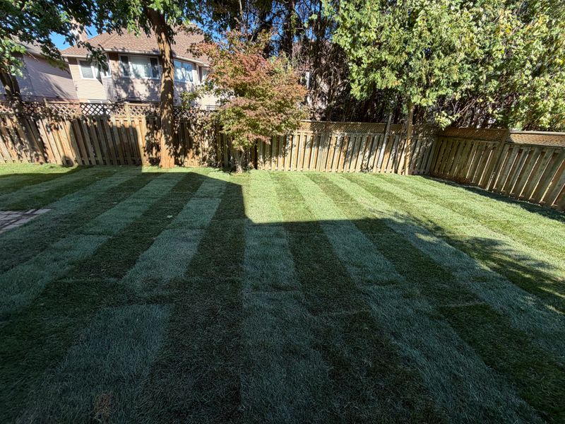 Fence Installation