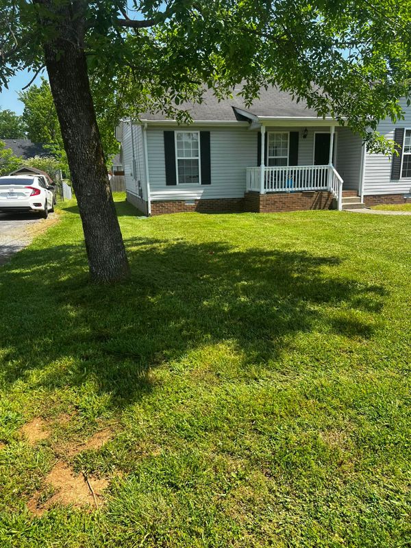 Lawn Care