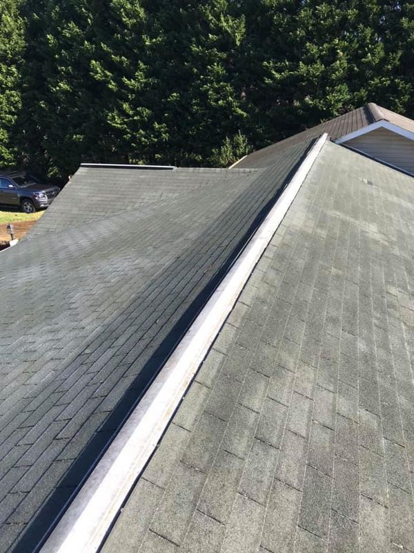 Roof Cleaning