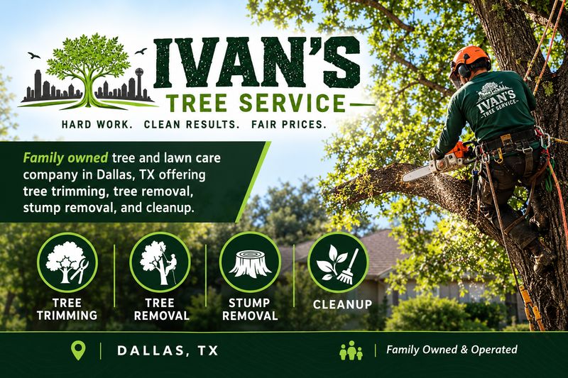 Tree Trimming