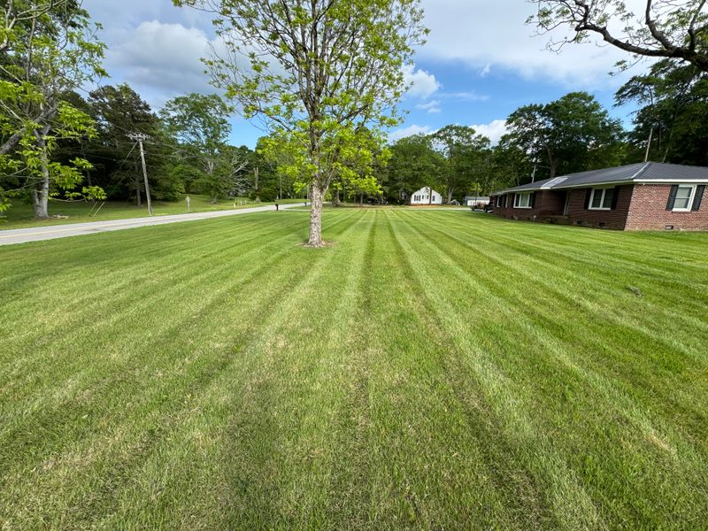 Mowing