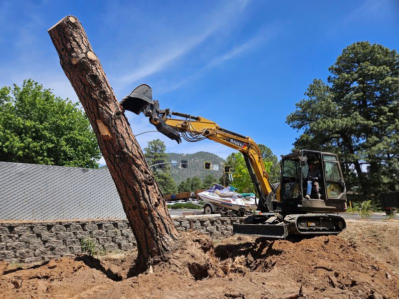 Land Clearing