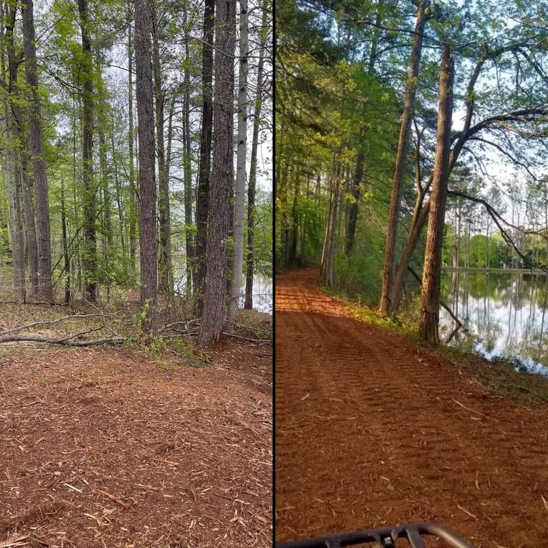 Satisfied customers Before and After