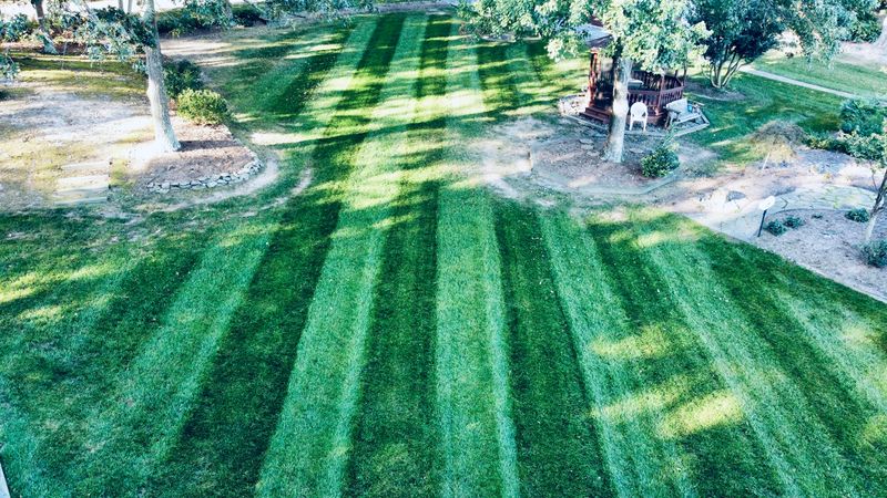 Mowing