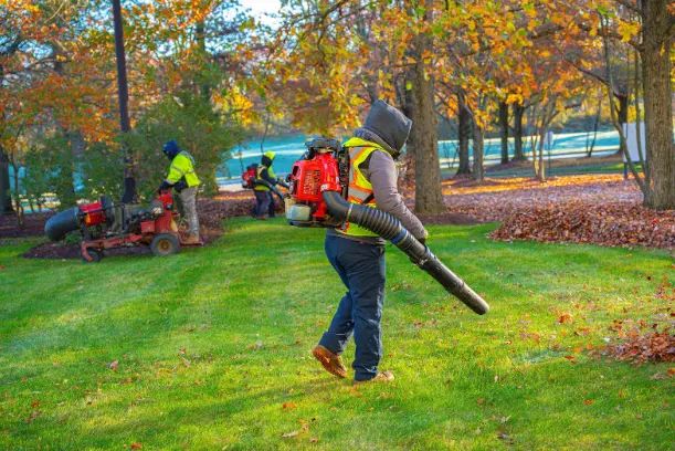Leaf cleanup