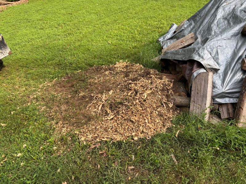 Stump Removal