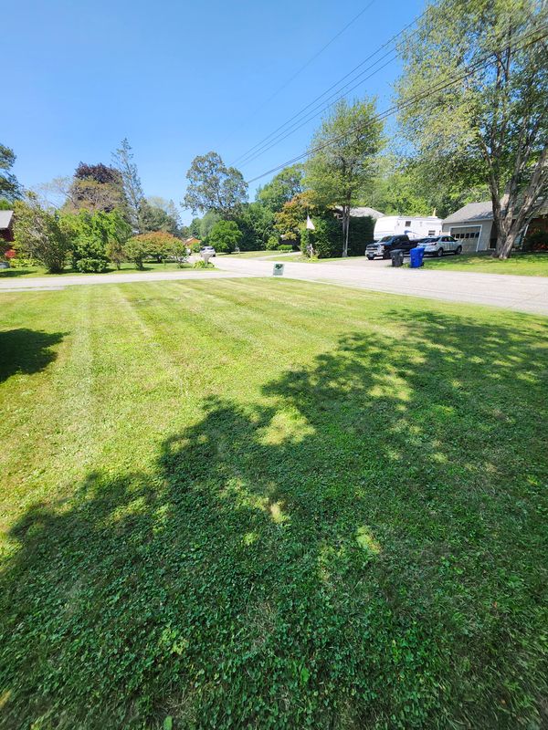 Lawn Mowing