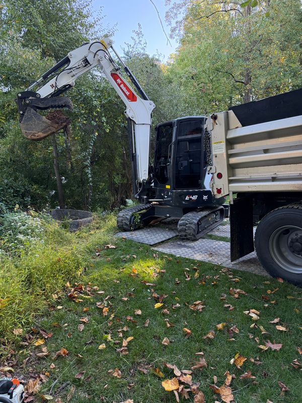 Stump Removal