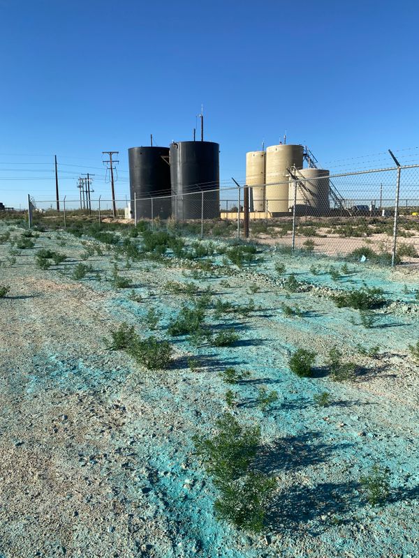 Weed Remediation