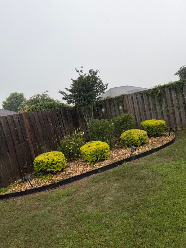 Landscape Maintenance