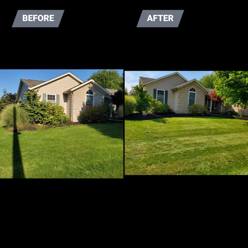 Lawn Mowing