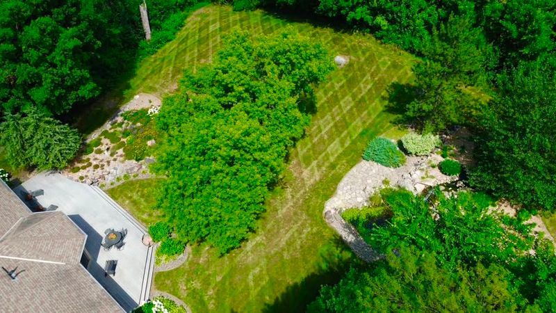 Lawn Care & Maintenance