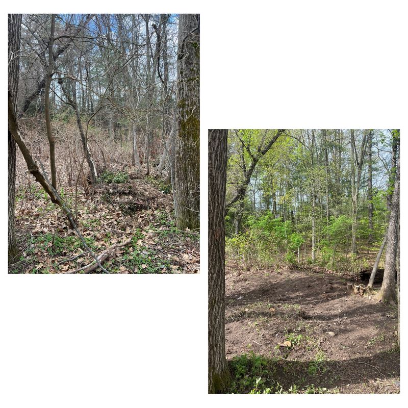 Brush Removal
