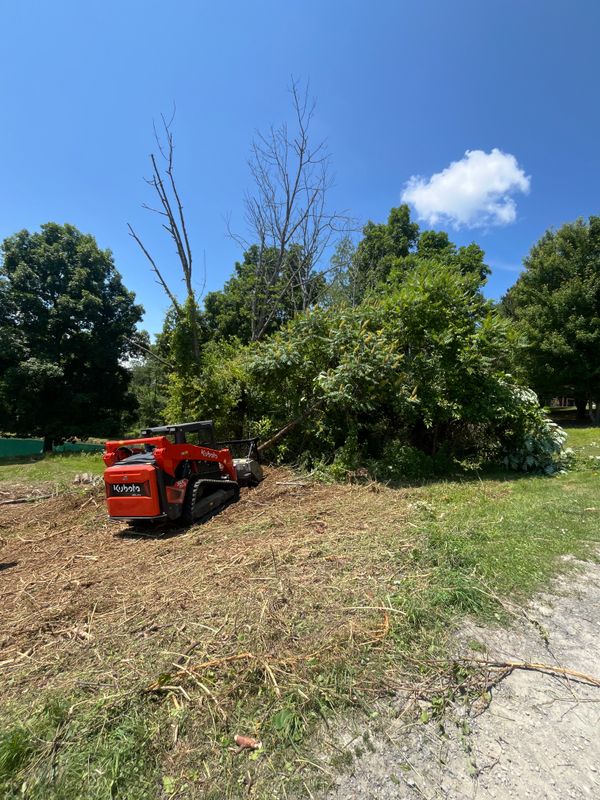 Forestry Mulching