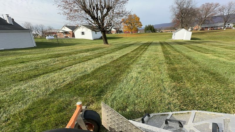 Mowing