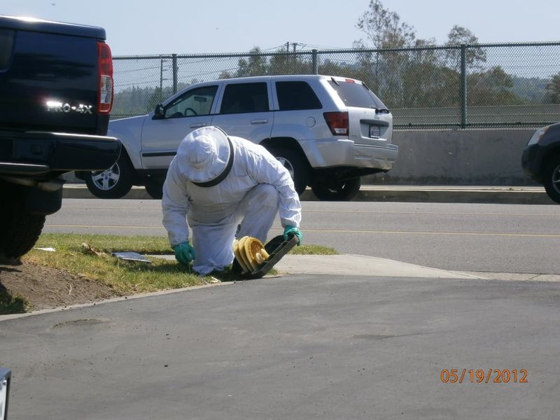Commercial Pest Control