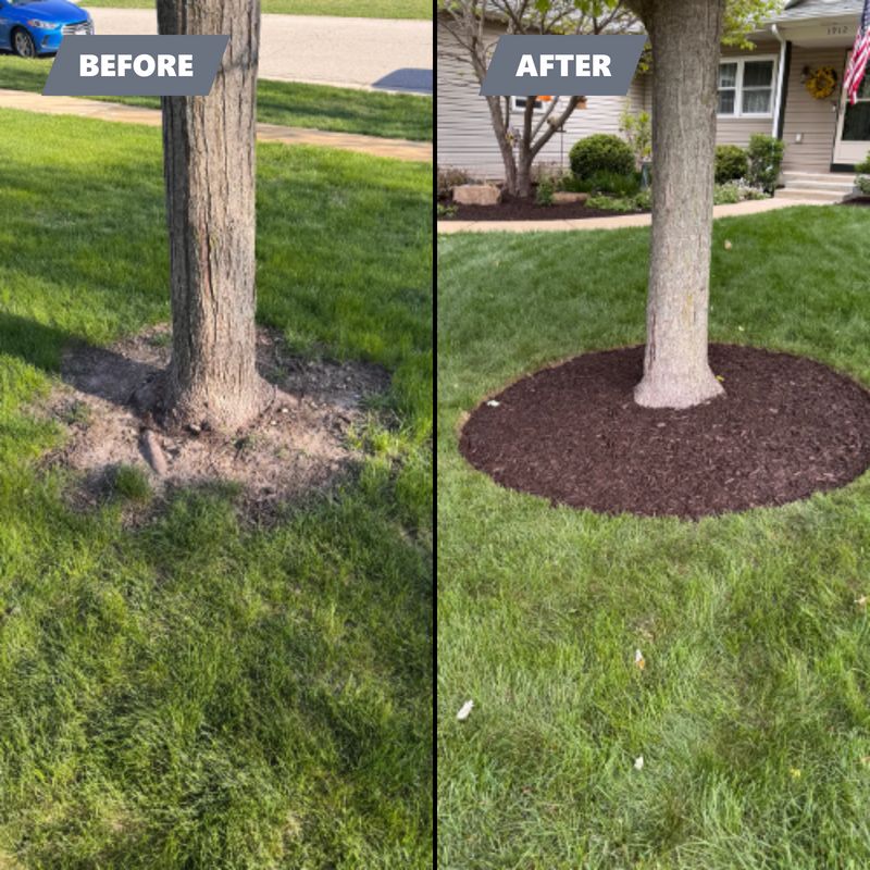 Before & After