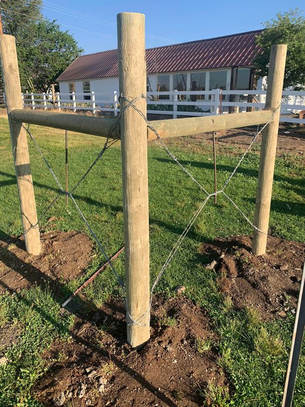 Fences