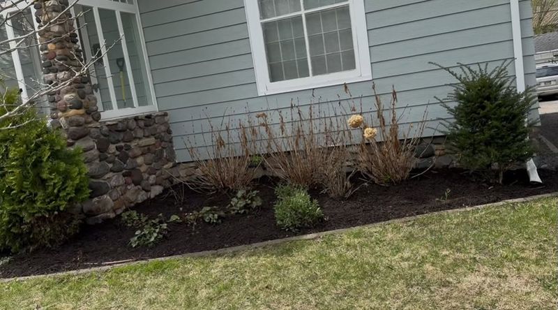 Landscape Maintenance