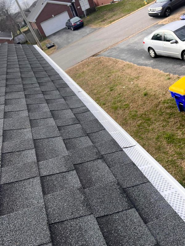 Gutter Cleaning