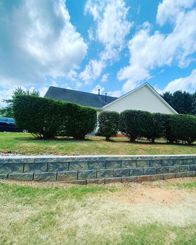 Shrub Trimming