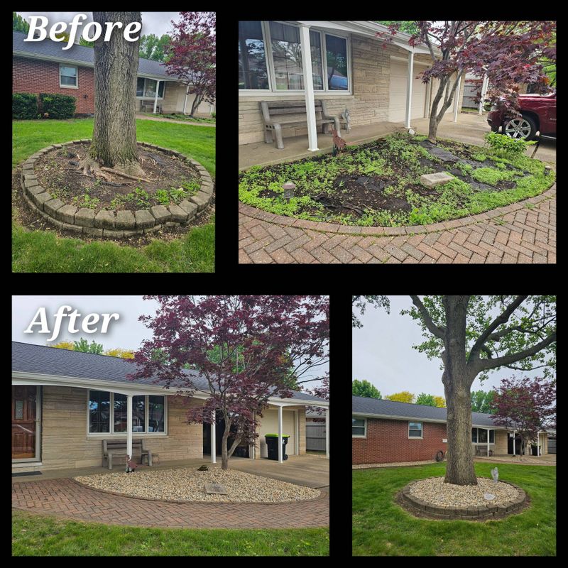 Tree Removal