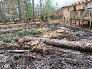 Land Clearing